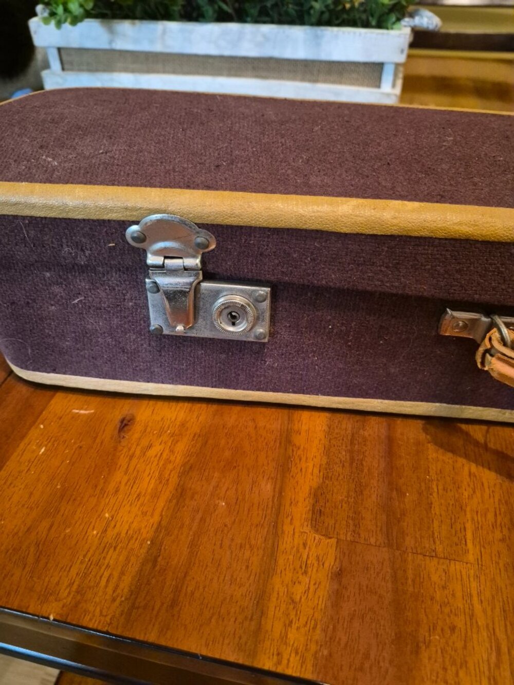 Vintage Spanish Bandurria from 1920s sounds amazing over 100years old - Picture 6 of 13